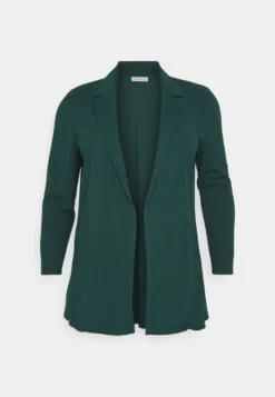 Blazer - Blazer -Style Hub Shop 50a9900f8a224e56b9bc7a80a4f57499 scaled